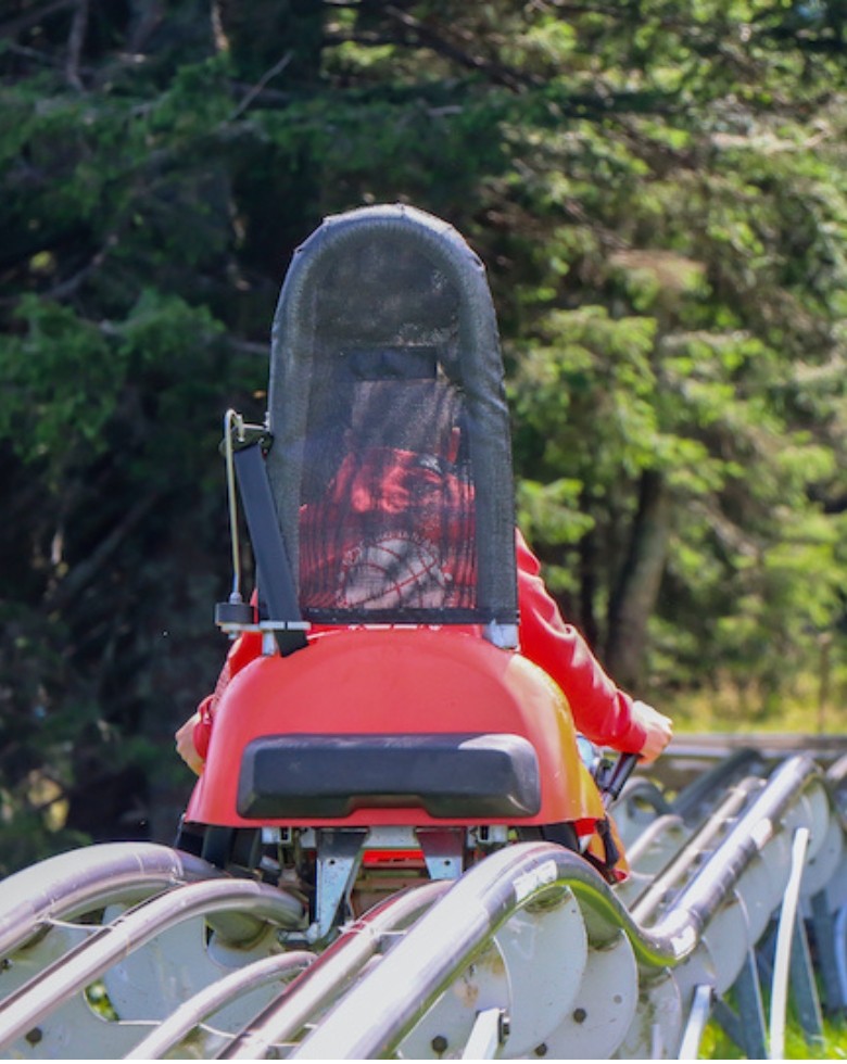 Georgia Mountain Coaster